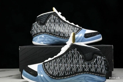 Jordan 318376-041 23 UNC Air 0821